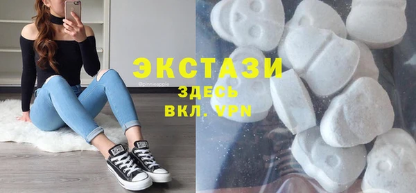 СК Богородск
